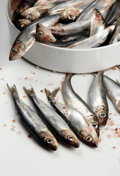 Beyaz arka planda beyaz porselen bir çanakta taze Baltık ringası. Taze gümüş balık.