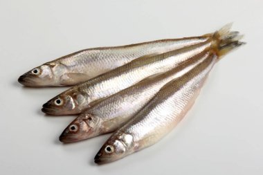 Fresh smelt fish on a white background, Small fish on a white plate. Smelt fishes (European smelt) isolated on white clipart