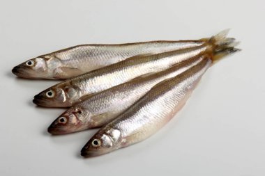 Fresh smelt fish on a white background, Small fish on a white plate. Smelt fishes (European smelt) isolated on white clipart