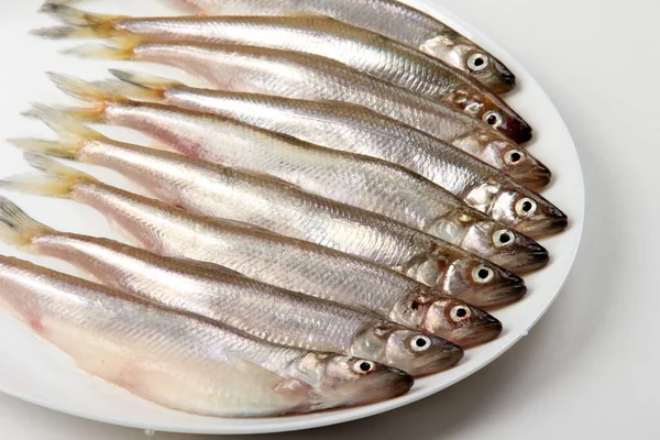 Свежая Рыба Белом Фоне Маленькая Рыбка Белой Тарелке Корюшки Европейские — стоковое фото