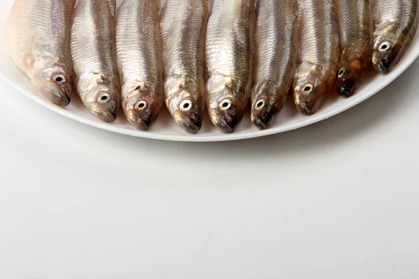 Pescado Fresco Sobre Fondo Blanco Pescado Pequeño Sobre Plato Blanco —  Fotos de Stock