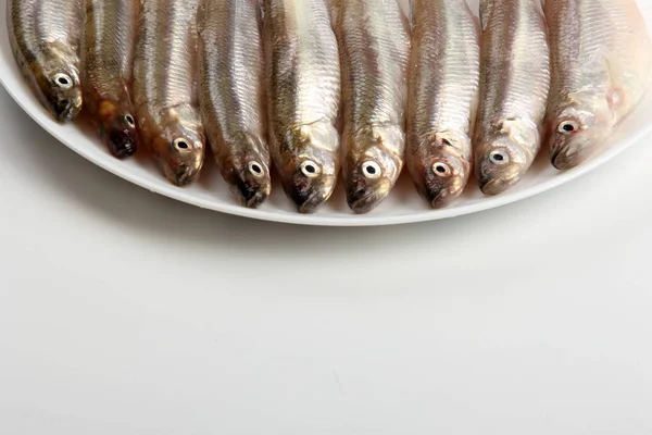 Peixe Cheiroso Fresco Fundo Branco Peixe Pequeno Prato Branco Peixes — Fotografia de Stock