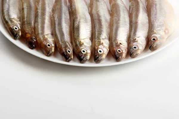 Pescado Fresco Sobre Fondo Blanco Pescado Pequeño Sobre Plato Blanco —  Fotos de Stock