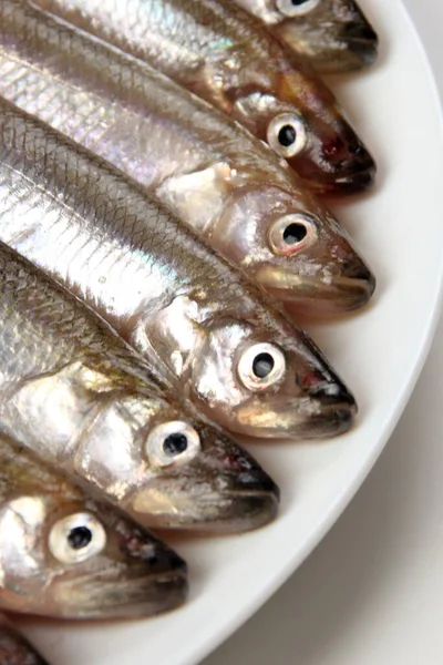 Fresh Smelt Fish White Background Small Fish White Plate Smelt — Stock Photo, Image