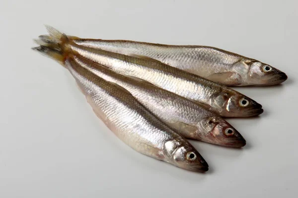 Fresh Smelt Fish White Background Small Fish White Plate Smelt — Stock Photo, Image