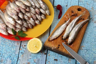 Renkli bir tabakta bir sürü taze eritilmiş balık ve eski mavi renkli ahşap arka plan, limon ve yeşil maydanozlu eritilmiş balık (Avrupa eritilmiş), taze kokulu balık grubu 