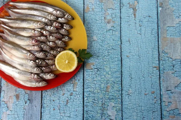 Lots Fresh Smelt Fish Colorful Plate Wooden Background Old Blue — Stock Photo, Image