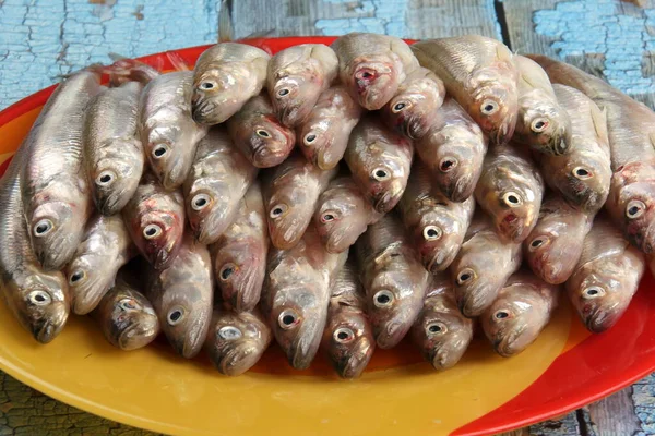 Много Свежей Рыбной Корюшки Красочной Тарелке Деревянном Фоне Старым Голубым — стоковое фото