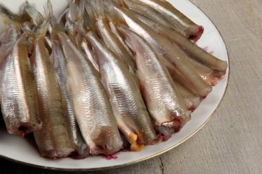 Beyaz tabakta taze eritilmiş balık, bağırsakları deşilmiş balık, taze eritilmiş balık grubu. 