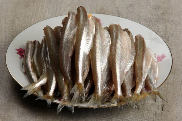 Lots Fresh Smelt Fish White Plate Gutted Fish Group Fresh — Stock Photo, Image