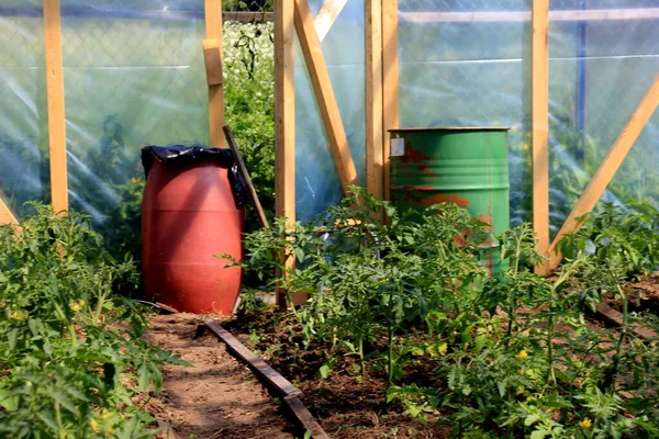 Bahçe serasında su olan kahverengi ve yeşil su varilleri. Bahçede yağmur suyu tankı