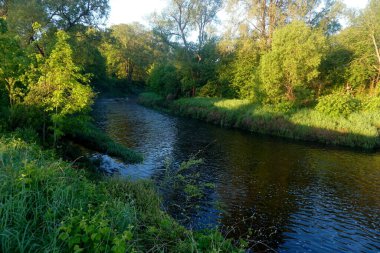                Nehir ve ağaçlarla kaplı manzara, sabahın erken saatlerinde güneş ışığı. Güzel bir manzara. Lauce Nehri, Letonya                