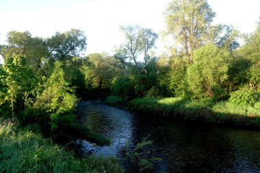                 Nehir ve ağaçlarla kaplı manzara, sabahın erken saatlerinde güneş ışığı. Güzel bir manzara. Lauce Nehri, Letonya                
