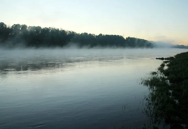 夏の早朝に川の霧 — ストック写真