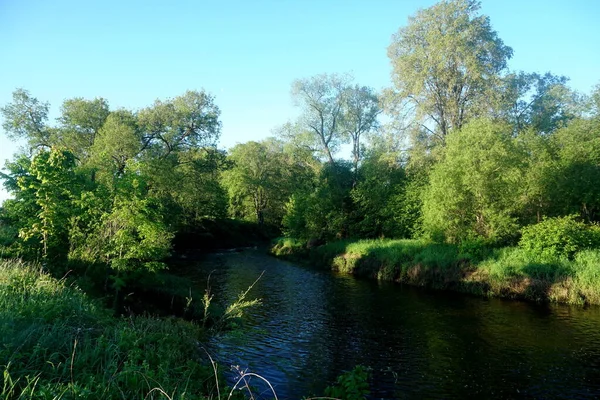 Krajobraz Rzeką Drzewami Poranne Światło Słoneczne Piękne Krajobrazy Rzeka Lauce — Zdjęcie stockowe