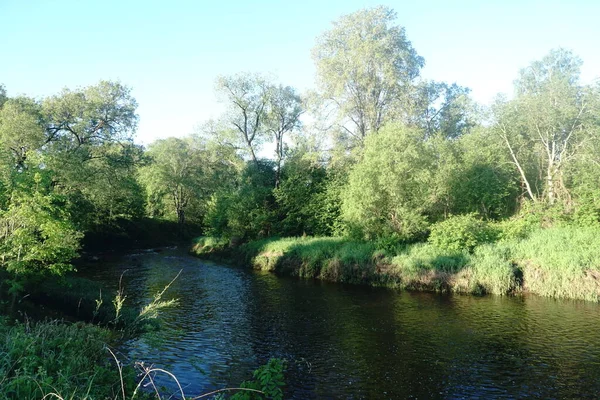 landscape with river and trees, early morning sunlight. beautiful scenery. River Lauce, Latvia