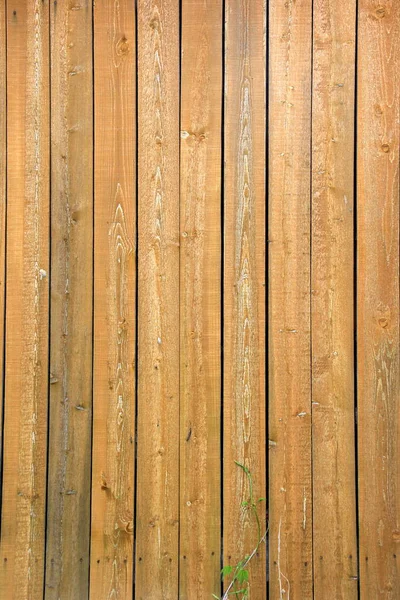 Background Old Wooden Boards Yellow Light Yellow Color Wooden Texture — Stock Photo, Image