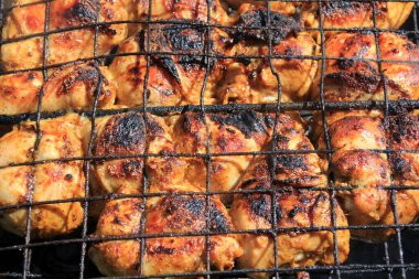 Izgara et şişleri, barbekü. Açık hava partisinde ateşte taze tavuk eti tutacağı yanmış.