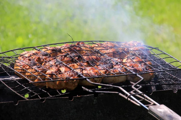 Grilled Meat Skewers Barbecue Fresh Chicken Meat Holder Fire Burned — Stock Photo, Image