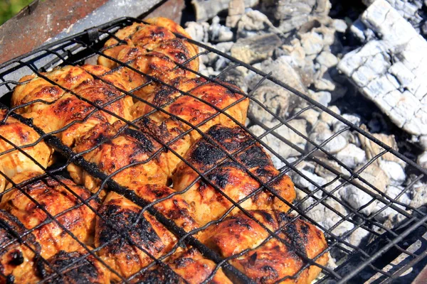 Grilled Meat Skewers Barbecue Fresh Chicken Meat Holder Fire Burned — Zdjęcie stockowe