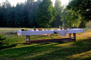 Manzaralı parktaki devasa ahşap piknik masasında eski ağaçlar, sarı günbatımı ışığı. Açık Masa Yemek Konsepti