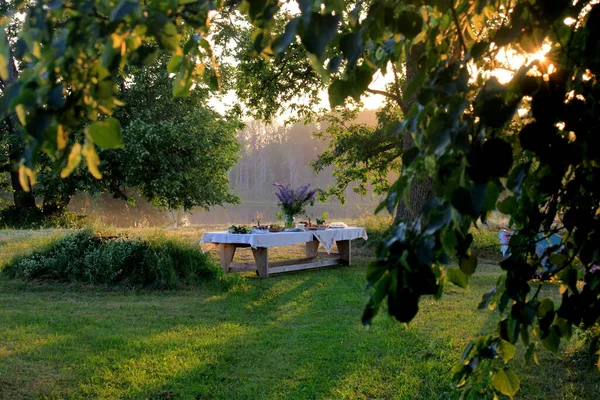 Manzaralı parktaki devasa ahşap piknik masasında eski ağaçlar, sarı günbatımı ışığı. Açık Masa Yemek Konsepti