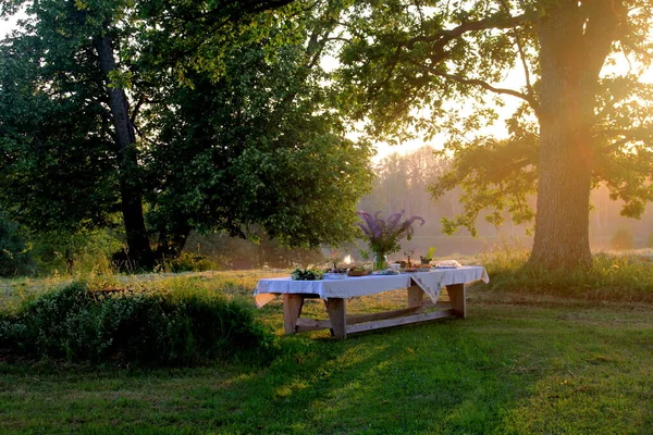 巨大的木制野餐桌 园内绿树成荫 黄昏时分 户外餐桌食物午餐概念 — 图库照片