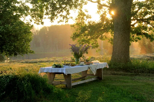 Jätte Trä Picknickbord Naturskön Park Med Gamla Träd Gul Solnedgång — Stockfoto