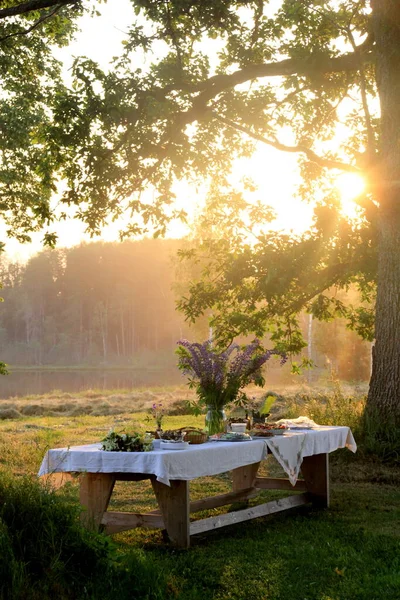 Manzaralı parktaki devasa ahşap piknik masasında eski ağaçlar, sarı günbatımı ışığı. Açık Masa Yemek Konsepti