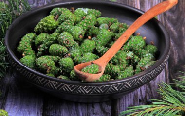 Yeşil çam kozalakları. Genç yeşil kozalaklar kil bardakta, üst manzara.