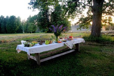 Yaz ortası yemek masası. Ağaçların altındaki bahçede içecekler ve yiyeceklerle dolu bir masa. Masanın üzerinde mavi çayır çiçekleri olan cam bir vazo var. Letonya LIGO Festivali