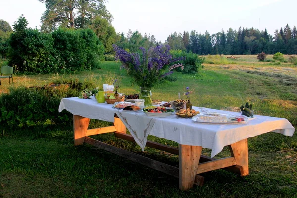 Midsummer Food Table Table Filled Drinks Food Garden Trees Table — Stock Photo, Image