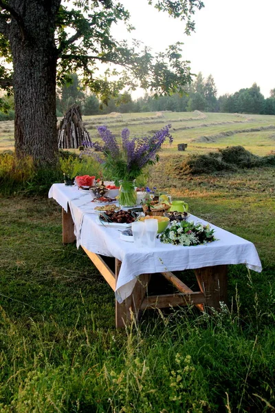 Mesa Comida Verão Mesa Cheia Bebidas Comida Jardim Sob Árvores — Fotografia de Stock