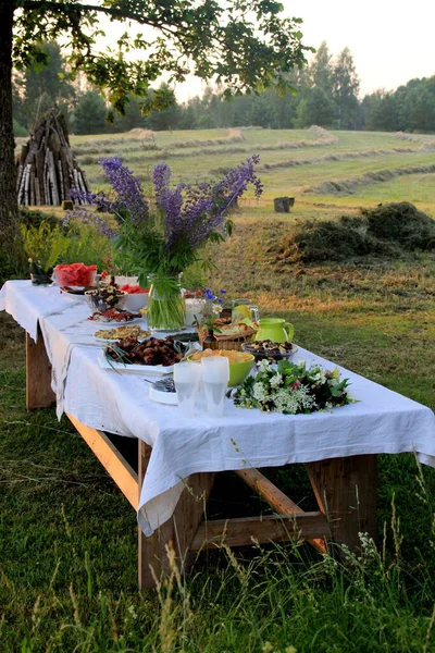 Masa Mâncare Vară Masă Umplută Băuturi Alimente Afara Grădinii Sub — Fotografie, imagine de stoc