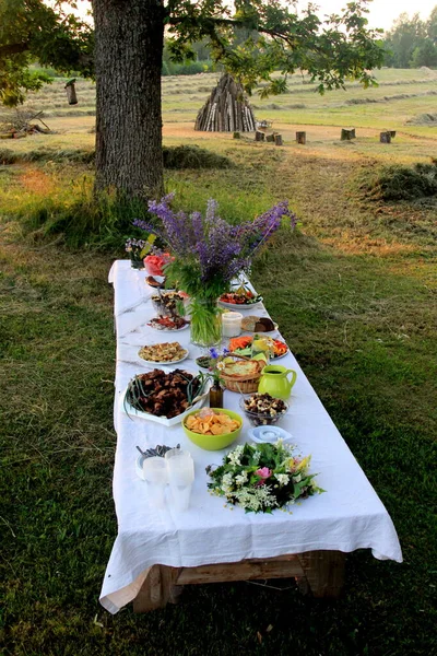 Mesa Llena Bebidas Comida Aire Libre Jardín Bajo Los Árboles — Foto de Stock