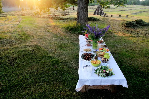 Masa Mâncare Vară Masă Umplută Băuturi Alimente Afara Grădinii Sub — Fotografie, imagine de stoc