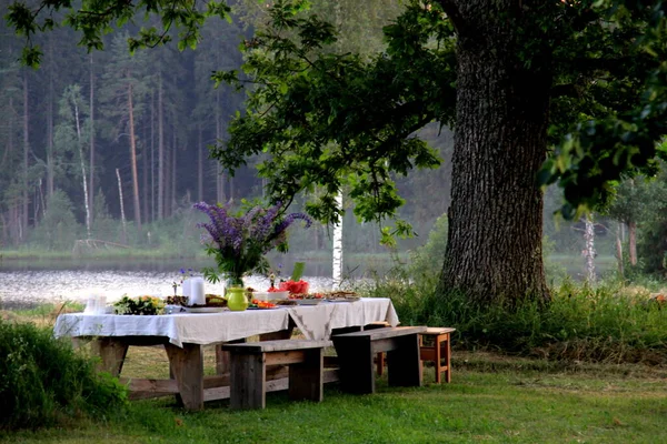 Mesa Comida Verão Mesa Cheia Bebidas Comida Jardim Sob Árvores — Fotografia de Stock