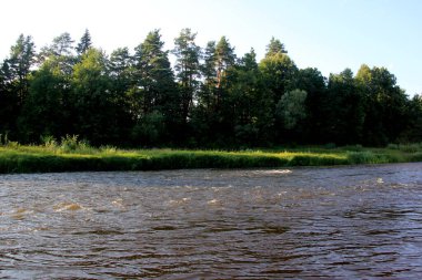Arka planda yeşil orman ve mavi gökyüzü ile çevrili Gauja nehri, Letonya. Yaz boyunca Gauja nehri manzarası, Strenci yakınlarında.