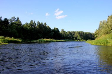 Arka planda yeşil orman ve mavi gökyüzü ile çevrili Gauja nehri, Letonya. Yaz boyunca Gauja nehri manzarası, Strenci yakınlarında.