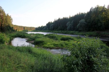 Arka planda yeşil orman ve mavi gökyüzü ile çevrili Gauja nehri, Letonya. Yaz boyunca Gauja nehri manzarası, Strenci yakınlarında.