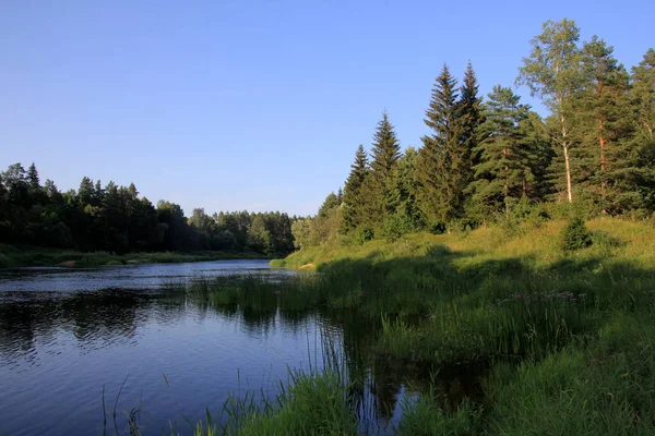 Rio Gauja Rodeado Por Uma Floresta Verde Céu Azul Fundo — Fotografia de Stock