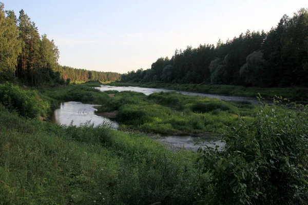 Río Gauja Rodeado Por Bosque Verde Cielo Azul Fondo Letonia — Foto de Stock