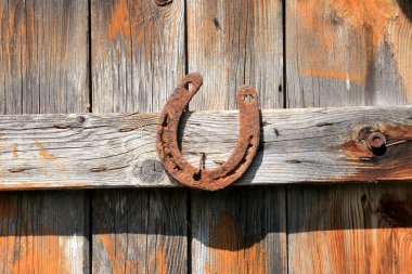 Tahta zeminde çelik at nalı. Ahşap bir duvarda eski paslı nallar