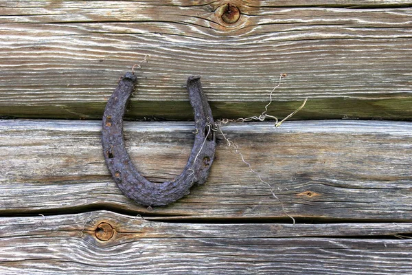 Steel Horseshoe Wooden Plank Background Old Rusty Horseshoes Wooden Wall — Stock Photo, Image