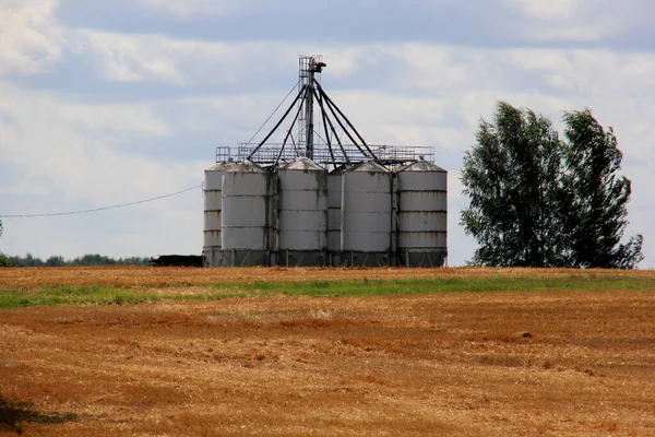 Grain warehouse. Old grain elevators in a field at sunset