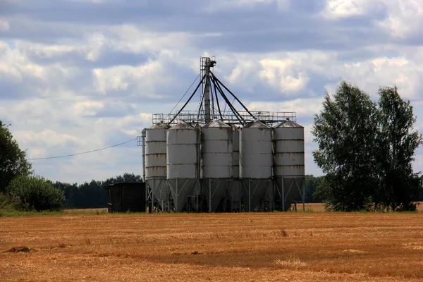 Grain Warehouse Old Grain Elevators Field Sunset — Stock Photo, Image