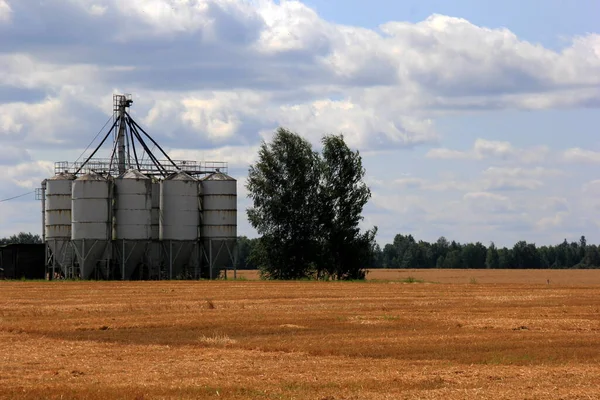 Grain Warehouse Old Grain Elevators Field Sunset — Stock Photo, Image