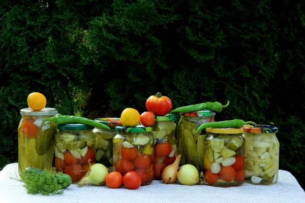 Preserves Vegetables Glass Jars Table Summer Garden Glass Jars Various — Stock Photo, Image