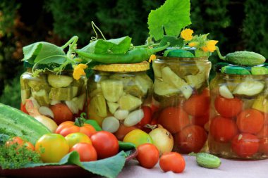 Preserves vegetables in glass jars on the table in summer garden. glass jars with various vegetables. Marinated food.Jars of pickled vegetables in the garden.