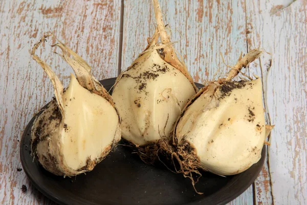 Onion Anzur Allium Suworowii Uma Espécie Cebola Nativa Afeganistão Ásia — Fotografia de Stock